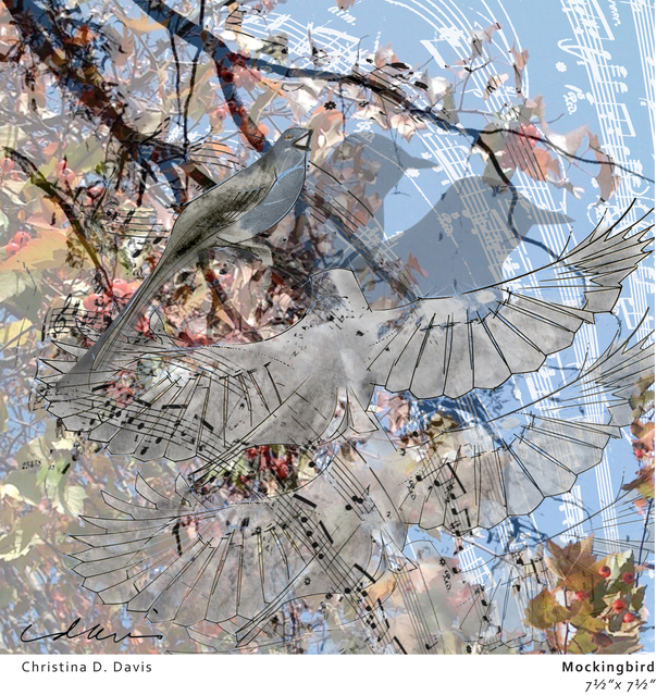 The mockingbird, dusty gray, snowy white, midnight black. The eyes singing brightly in their little head. Sounding of a hundred beautifully singing birds but really is only one. One singing, ever singing, mockingbird.