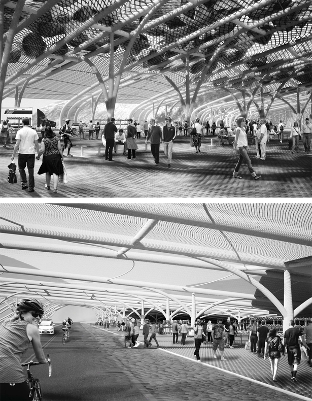 Rendered Views of Markets under Structures
