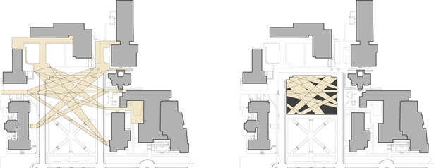 Conceptual Diagram