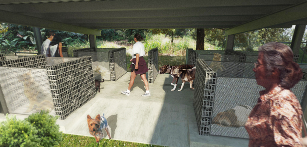 Dog lodging 