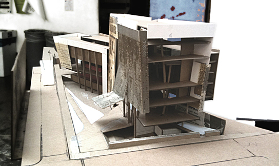 Study model