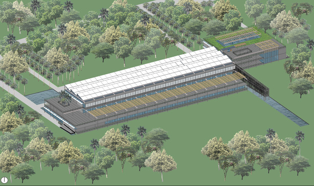 Exterior view of terraces and ramp for patients