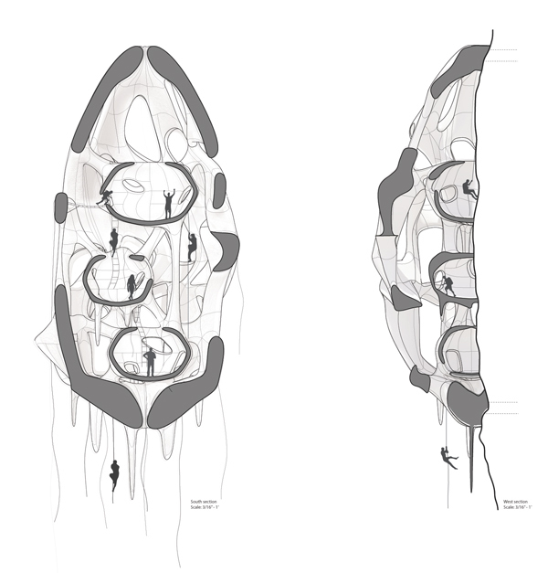 2D Section