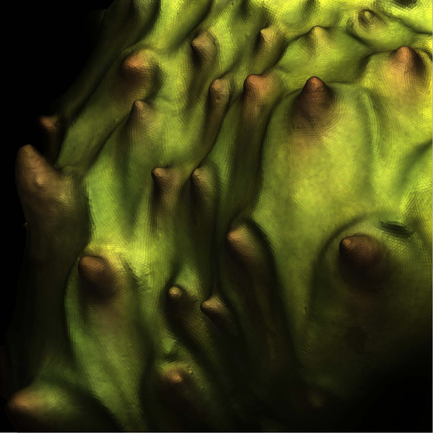 Ripe stage