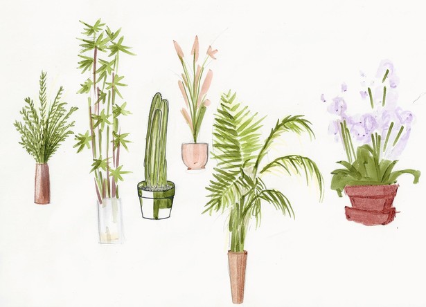Rendered Plants I