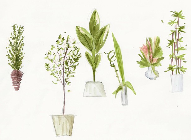Rendered Plants II