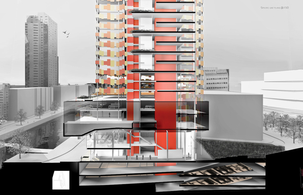 Section Perspective