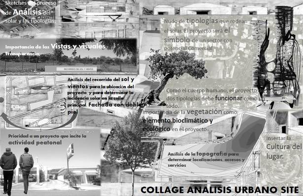 Site Analysis