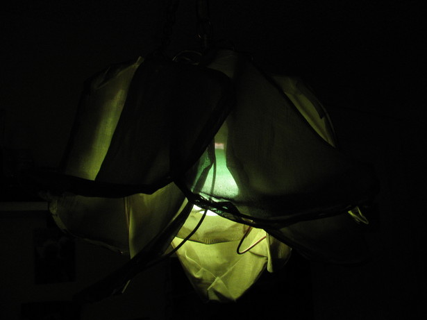 Green ceramic bulb, side view
