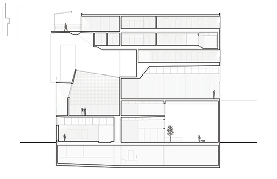 Section D