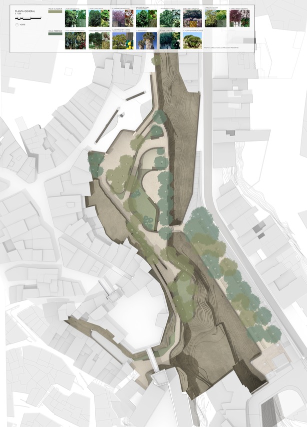 General Plan