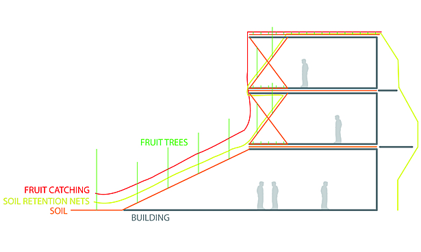 Function diagram