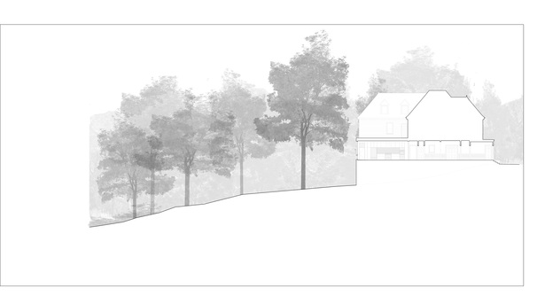 Section through Entry, Hall, Kitchen and site