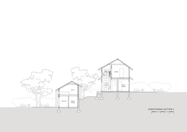 longitudinal section 1