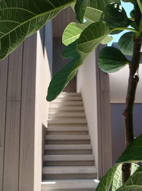 courtyard detail