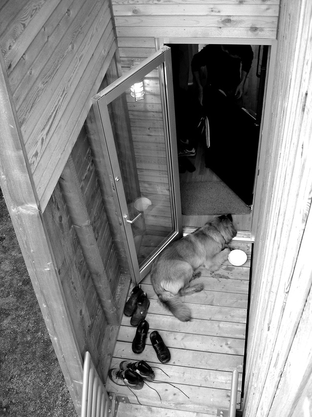 nala on mosher cottage porch