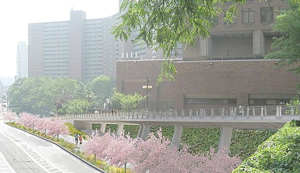 Comprehensive Rendering | Rendering Coordination by Ricardo Soares