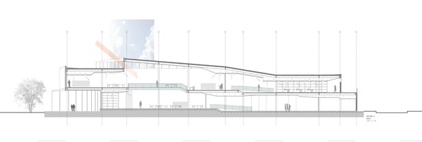 Detail Section