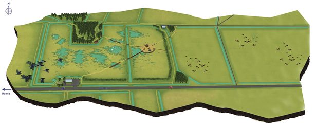 placement in the Great Fen