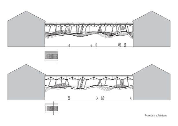 Transverse Section Cuts