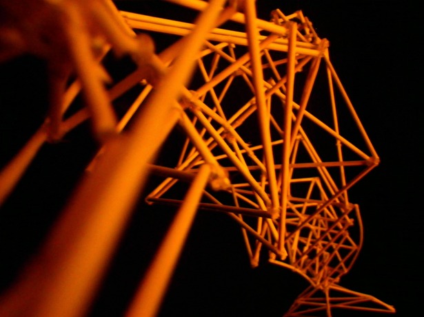 Detail of the Architecture of Dolphin II, bamboo skewers & hot glue, 20
