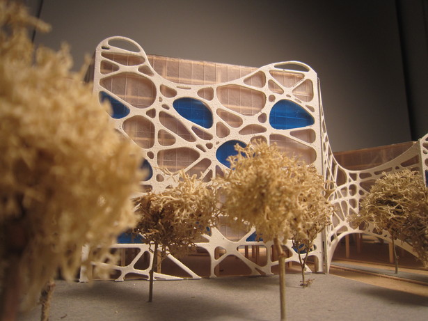 Florida Cardiology Hospital 6-Hand Made/Laser Cutter-24