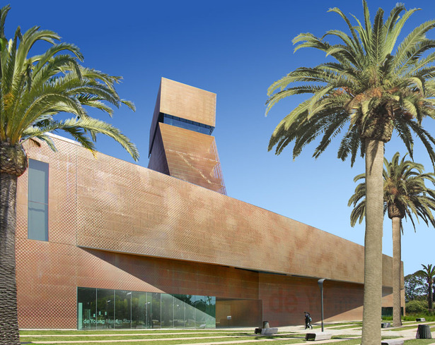 De Young Entry