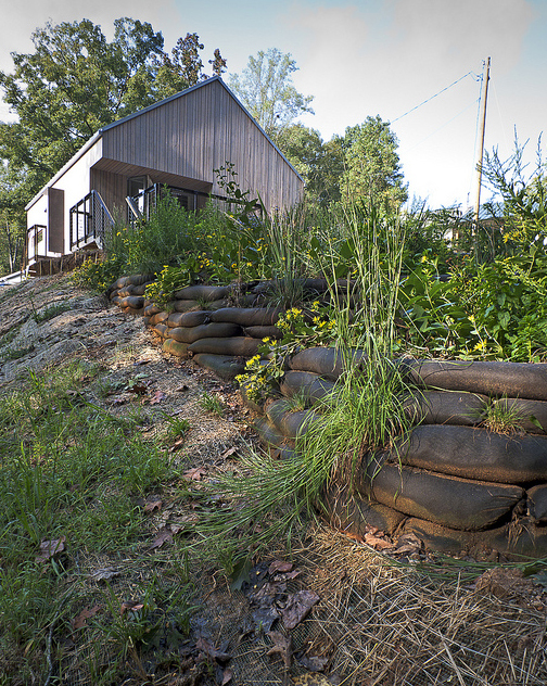 landscape - an engineered landscape creates efficiency in water use while also providing grey water treatment beds and a series of vegetable gardens (photo credit ken mccown) 