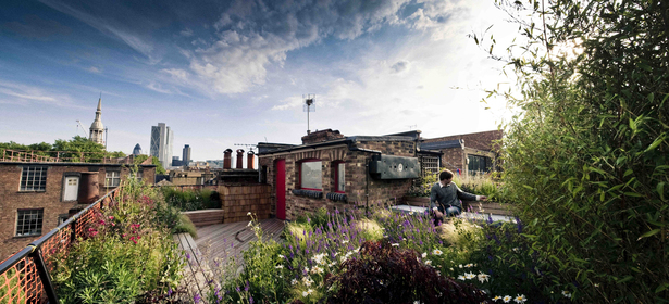 Roof Garden