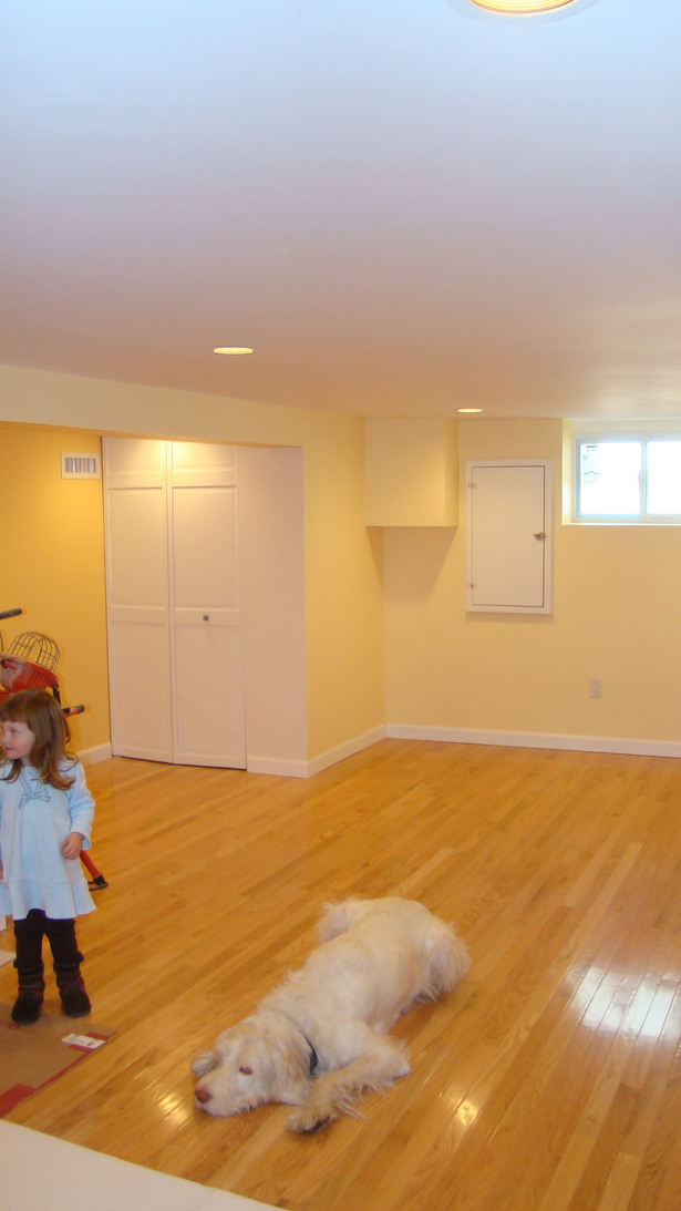 basement - under construction