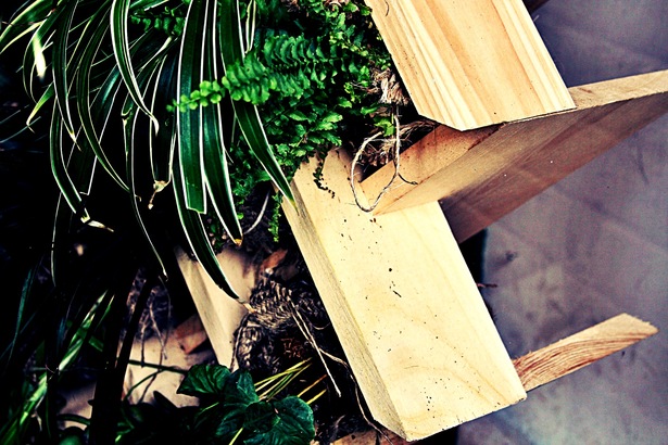 detail