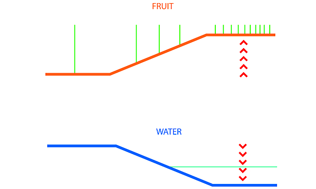 Diagram of slope and water