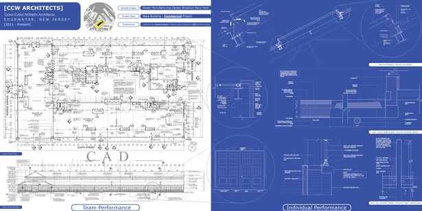 Professional Work Sample - Construction Documents