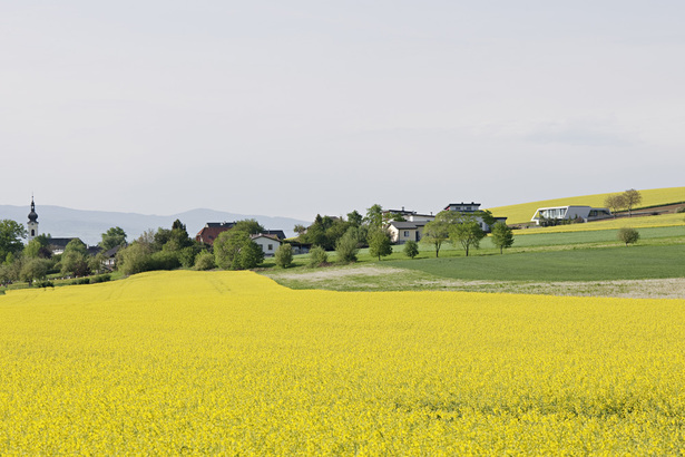 (Photo: Hertha Hurnaus) 