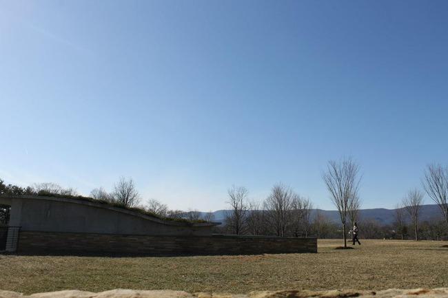The lawn at the Belvedere Gardens