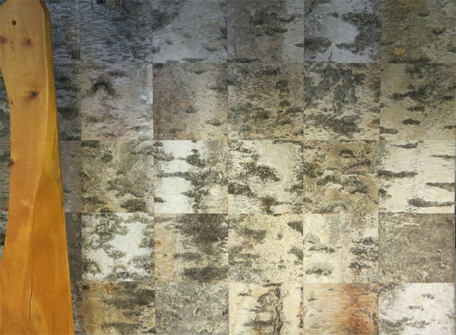 Birch bark wall at Pilke Science Centre