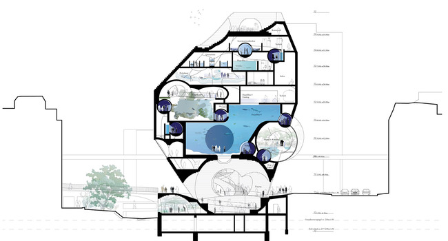 Section (Image: HHF and BURCKHARDT+PARTNER)