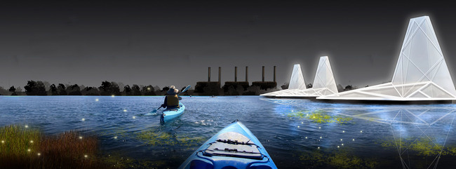 Honorable Mention: Hydraulic Network