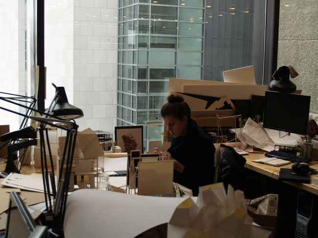 Elisa reviewing details