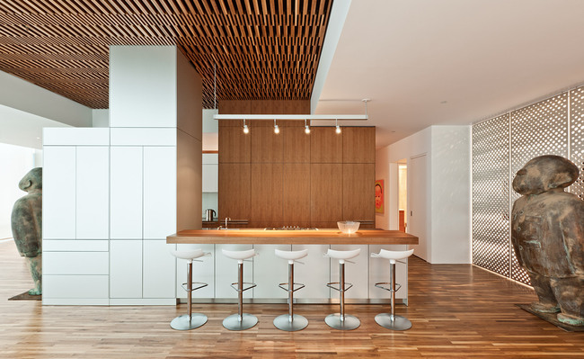 Chicago Apartment; Chicago, IL (Photo: Paul Crosby Studio)