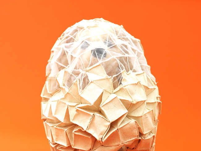Reiser + Umemoto