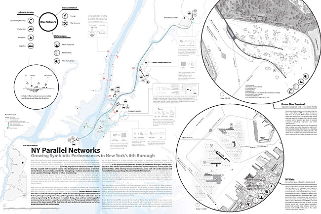 WINNER: NY PARALLEL NETWORKS by Ali Fard and Ghazal Jafari, Canada