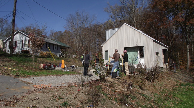 Slope stabilization with native shrubs
