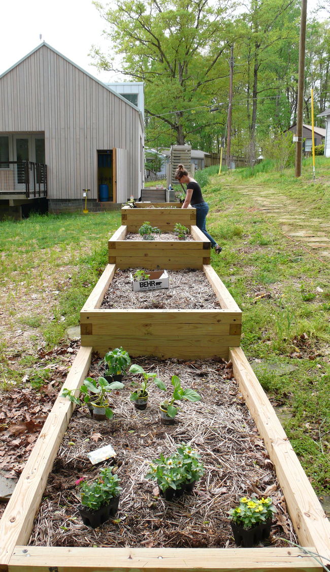 We began by properly spacing all the plants before digging any holes