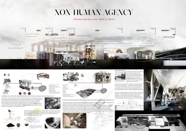 Honorable Mention: MM+RI(Microbial Material Research Interface), Changyeob Lee