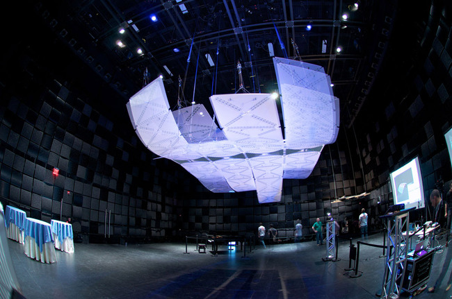 Manta (Photo: Michael Villardi)