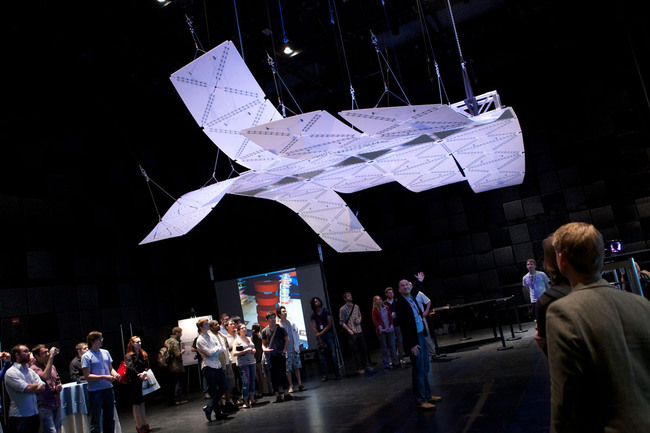 Manta (Photo: Michael Villardi)
