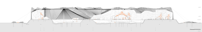 longitudinal section