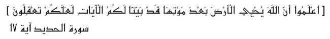 Script