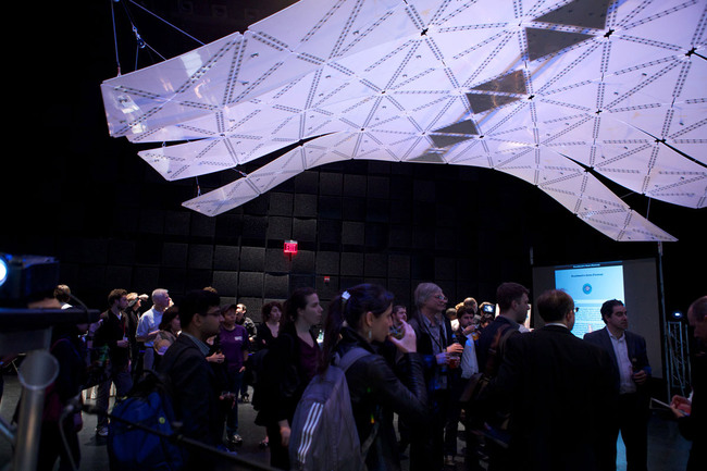 Manta (Photo: Michael Villardi)